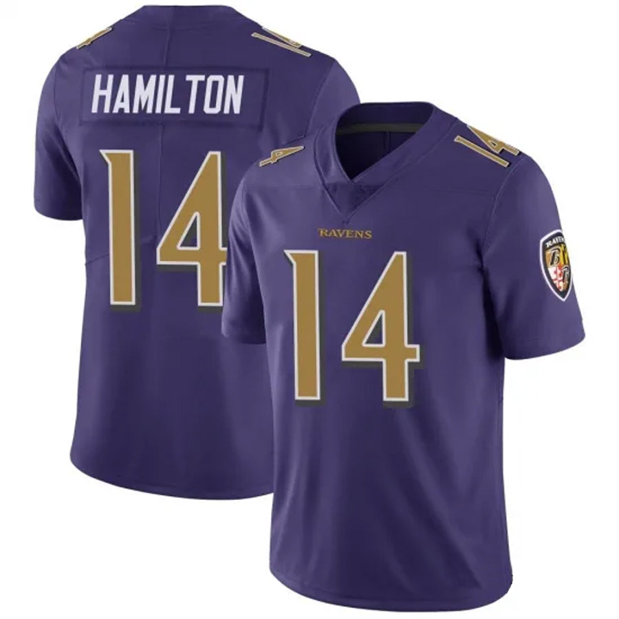 Parkc B.Ravens #14 Kyle Hamilton Player Purple Color Rush Vapor Untouchable Limited Game Stitched Jerseys
