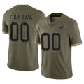 Parkc Custom C.Panthers Olive Salute to Service Game Any Name & Numbers Stitched Jerseys