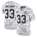 Parkc GB.Packers #33 Evan Williams Player Arctic Camo Salute To Service Limited Stitched Jerseys