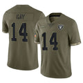 Parkc LV.Raiders #14 Matt Gay Player Olive Salute To Service Limited Stitched Jerseys