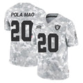 Parkc LV.Raiders #20 Isaiah Pola-Mao Player Arctic Camo Salute To Service Limited Game Stitched Jerseys