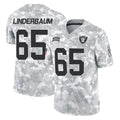 Parkc LV.Raiders #65 Tyler Linderbaum Player Arctic Camo Salute To Service Limited Game Stitched Jerseys