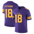Parkc M.Vikings #18 Justin Jefferson Player Purple Limited Color Rush Home Game Stitched Jerseys