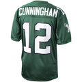 Parkc P.Eagles 1992 #12 Randall Cunningham Mitchell & Ness Green Authentic Throwback Retired Player Stitched Puhic Jersey