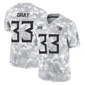 Parkc T.Titans #33 Cedric Gray Player Arctic Camo Limited Salute to Service Home Game Stitched Jerseys