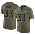 Parkc T.Titans #33 Cedric Gray Player Olive Limited Salute to Service Home Game Stitched Jerseys