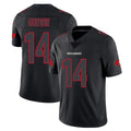 Parkc TB.Buccaneers #14 Chris Godwin Jr. Player Black Impact Limited Home Game Stitched Jerseys